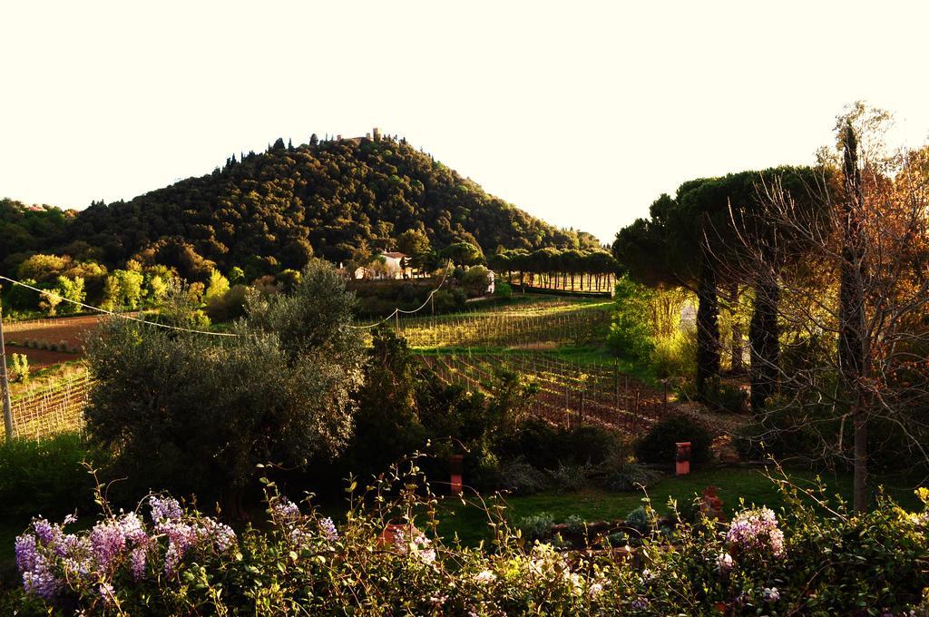 Podere L'Olmaia Марсилиана Экстерьер фото